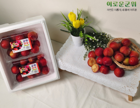 산지직송 군위 고당도 자두 2kg